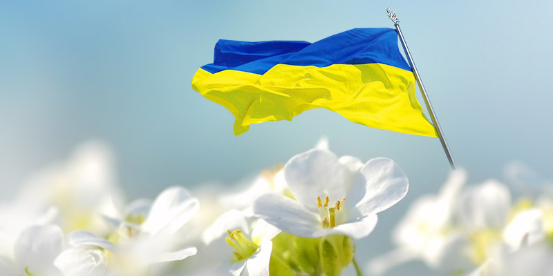 Some of our shops are open!